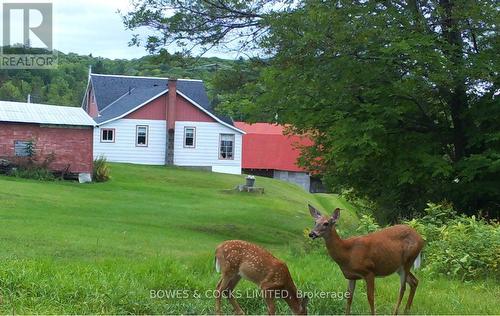 114 Moore Lane, Bancroft, ON 