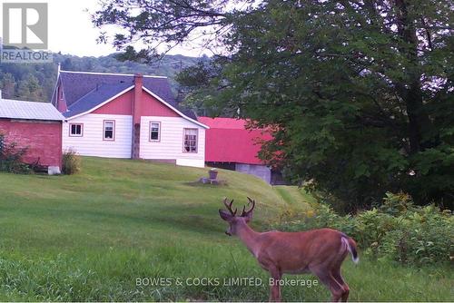 114 Moore Lane, Bancroft, ON 