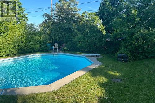 813 Norwood Terrace, Peterborough, ON - Outdoor With In Ground Pool With Backyard
