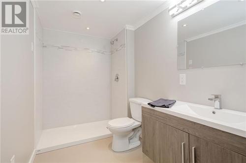 Basement Bathroom - 44 Bedard Boulevard, Petawawa, ON - Indoor Photo Showing Bathroom