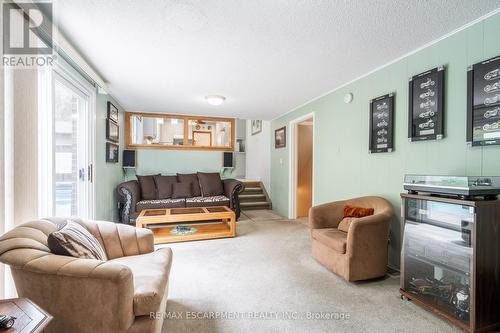 52 Maple Drive, Hamilton, ON - Indoor Photo Showing Living Room