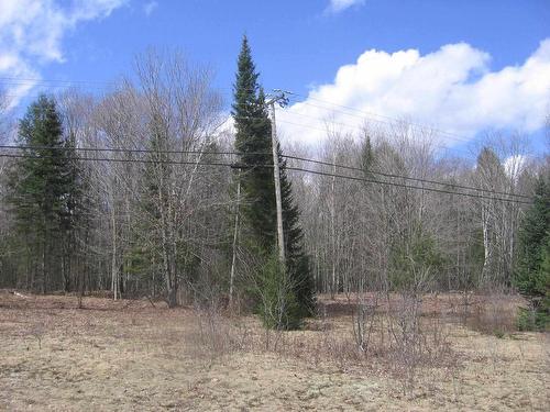 2.62 Acres Norley Drive, Stanhope, ON 