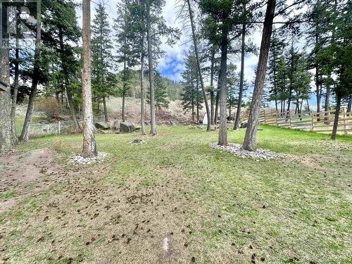 1110 N Twelfth Avenue, Williams Lake, BC - Outdoor With View