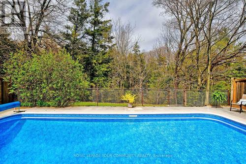 24 Delayne Drive, Aurora, ON - Outdoor With In Ground Pool With Backyard