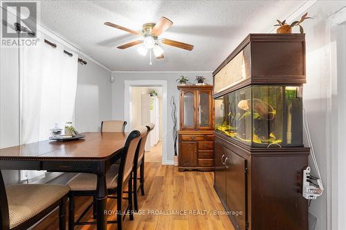 165 Lorne Avenue, Quinte West, ON - Indoor Photo Showing Dining Room
