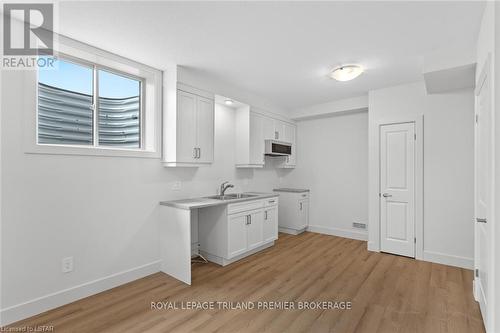 1323 Bush Hill, London, ON - Indoor Photo Showing Kitchen With Double Sink