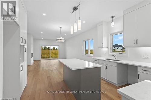 1323 Bush Hill, London, ON - Indoor Photo Showing Kitchen With Upgraded Kitchen