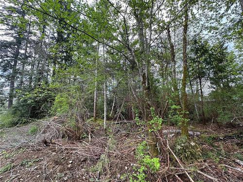 Lot 15 Walker Frontage Rd, Fanny Bay, BC 