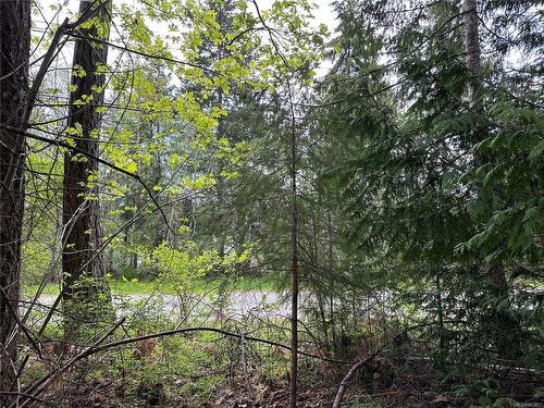 Lot 15 Walker Frontage Rd, Fanny Bay, BC 