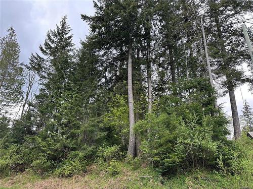 Lot 15 Walker Frontage Rd, Fanny Bay, BC 