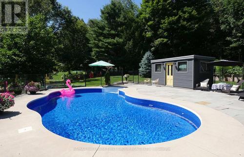 457 Wilson Drive, Hamilton Township, ON - Outdoor With In Ground Pool With Backyard