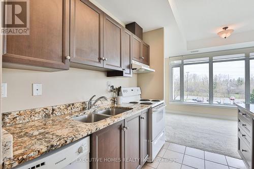 206 - 100 Roger Guindon Avenue, Ottawa, ON - Indoor Photo Showing Kitchen With Double Sink