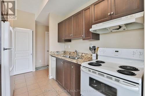 206 - 100 Roger Guindon Avenue, Ottawa, ON - Indoor Photo Showing Kitchen With Double Sink