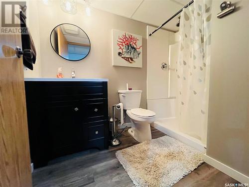 336 Matador Drive, Swift Current, SK - Indoor Photo Showing Bathroom