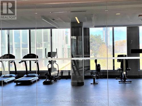 903 - 32 Forest Manor Road, Toronto, ON - Indoor Photo Showing Gym Room