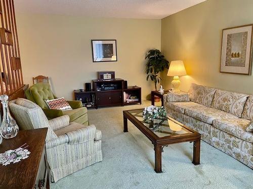 226 Pitt Avenue, Dryden, ON - Indoor Photo Showing Living Room