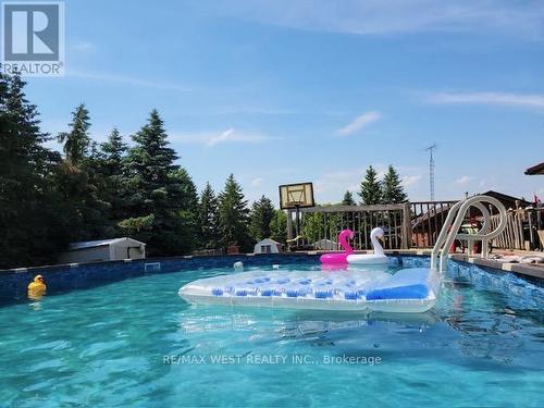 32 Bruce Street, Kawartha Lakes, ON - Outdoor With In Ground Pool With Backyard