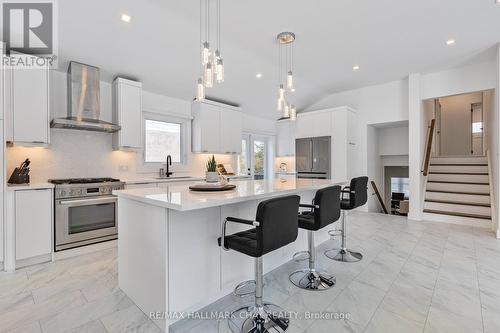 20 Castle Drive, Barrie, ON - Indoor Photo Showing Kitchen With Upgraded Kitchen