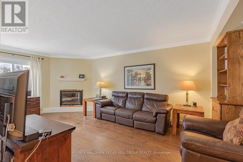 456 St Vincent Street, Barrie, ON - Indoor Photo Showing Living Room With Fireplace