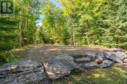 988B Lippert Lane, Faraday, ON - Outdoor With View