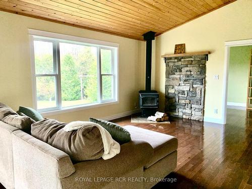 33 Little Cove Rd, Northern Bruce Peninsula, ON - Indoor Photo Showing Living Room With Fireplace