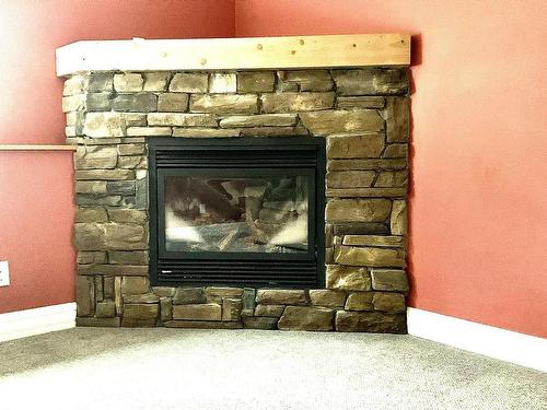 33 Little Cove Rd, Northern Bruce Peninsula, ON - Indoor Photo Showing Living Room With Fireplace