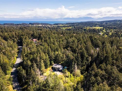 1051 Glen Forest Way, Metchosin, BC - Outdoor With View