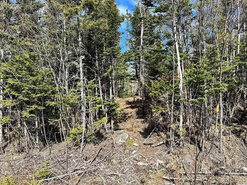 Lot 209 41 Blind Bay Drive, Blind Bay, NS 