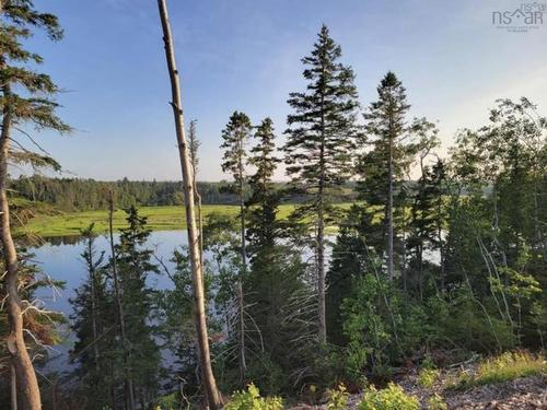 Lot 1 Tattrie Settlement Road, Tatamagouche, NS 