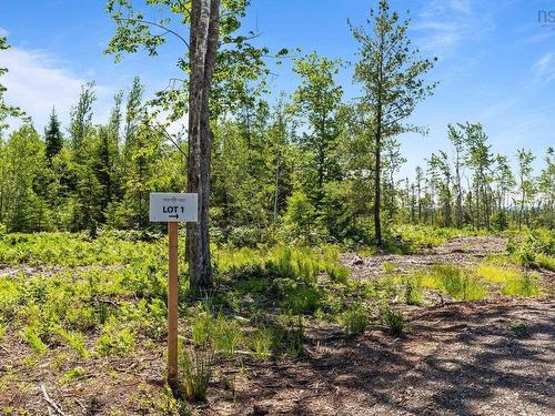 Lot 1 Tattrie Settlement Road, Tatamagouche, NS 