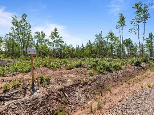 Lot 1 Tattrie Settlement Road, Tatamagouche, NS 