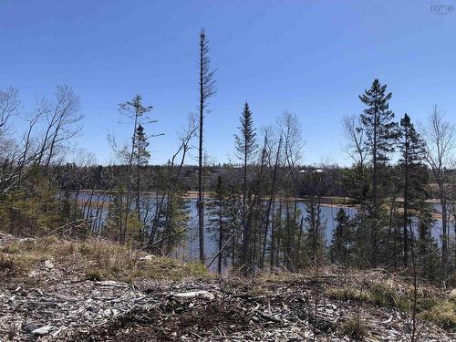 Lot 1 Tattrie Settlement Road, Tatamagouche, NS 