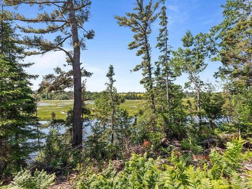 Lot 1 Tattrie Settlement Road, Tatamagouche, NS 