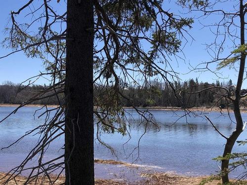 Lot 1 Tattrie Settlement Road, Tatamagouche, NS 