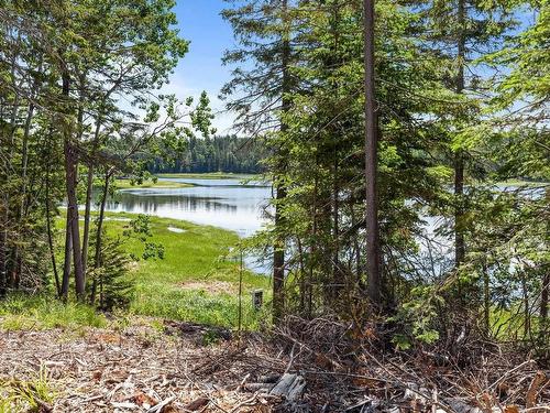 Lot 1 Tattrie Settlement Road, Tatamagouche, NS 