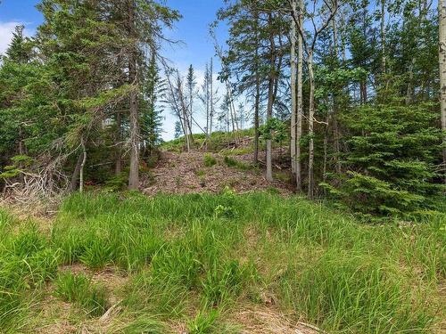 Lot 2 Tattrie Settlement Road, Tatamagouche, NS 