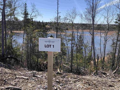 Lot 2 Tattrie Settlement Road, Tatamagouche, NS 