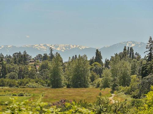 4091 Wilkinson Rd, Saanich, BC - Outdoor With View