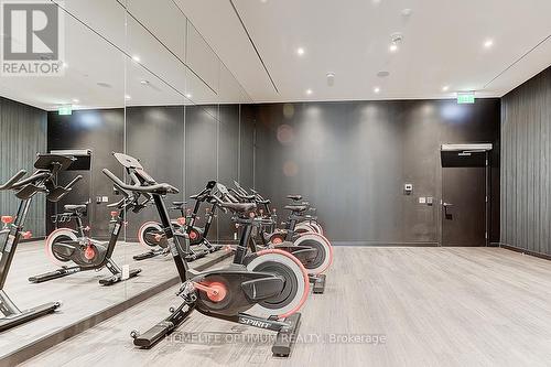 Lph2 - 20 Edward Street, Toronto, ON - Indoor Photo Showing Gym Room