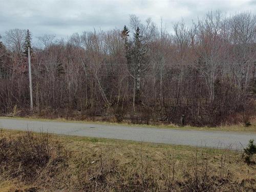 Lot 52 Marble Mountain Road, Malagawatch, NS 