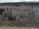 Lot 52 Marble Mountain Road, Malagawatch, NS 