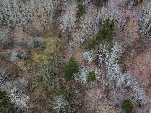 Lot 52 Marble Mountain Road, Malagawatch, NS 