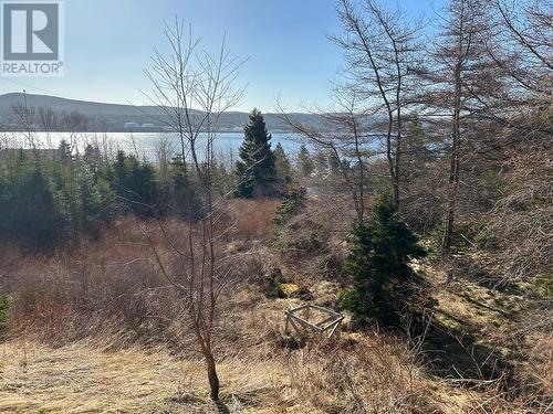 8 Healeys Cove Road Unit#A, Holyrood, NL - Outdoor With View