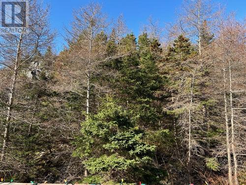 8 Healeys Cove Road Unit#A, Holyrood, NL - Outdoor With View