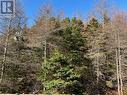 8 Healeys Cove Road Unit#A, Holyrood, NL  - Outdoor With View 