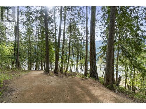 6432 Sunnybrae Canoe Point Road Lot# 11, Tappen, BC 