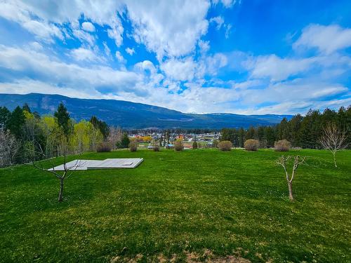5769 Highway 95, Edgewater, BC - Outdoor With View