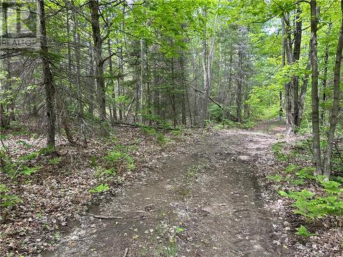 5947 Highway 542, Mindemoya, Manitoulin Island, ON - Outdoor With View