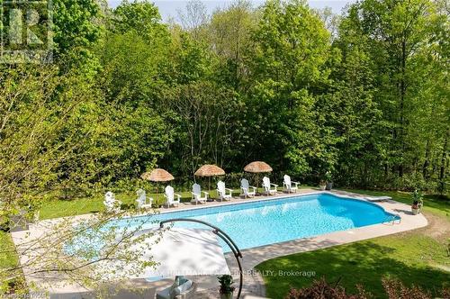 229 Skinkle Road, Trent Hills, ON - Outdoor With In Ground Pool With Backyard