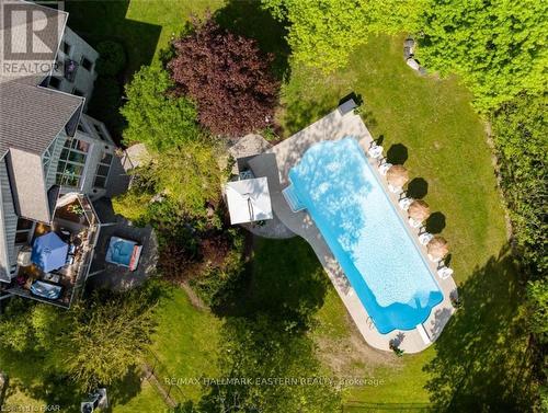 229 Skinkle Road, Trent Hills, ON - Outdoor With In Ground Pool